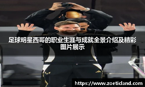 足球明星西哥的职业生涯与成就全景介绍及精彩图片展示
